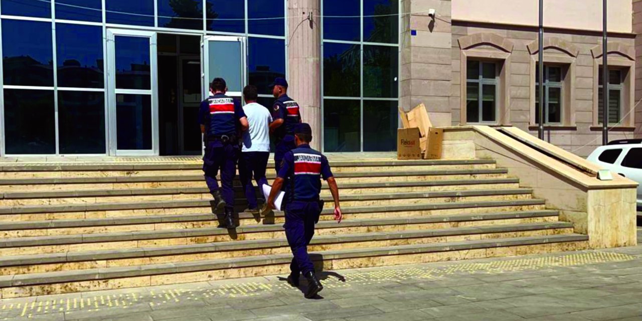 50 Hektar Ormanın Yandığı Yangın, Çay Ateşinden Çıkmış