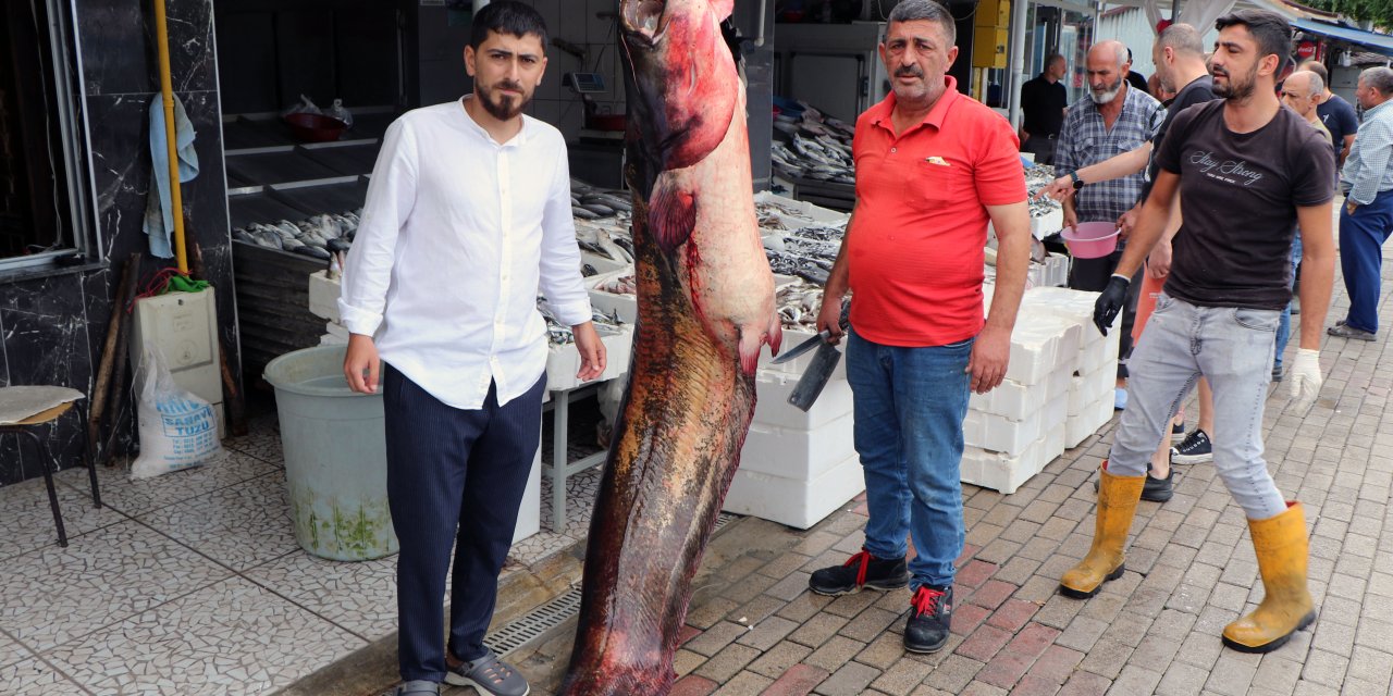 Samsun'da Ağa Takılan 2,5 Metrelik Yayın Balığı, Kilosu 120 Tl'den Satışta