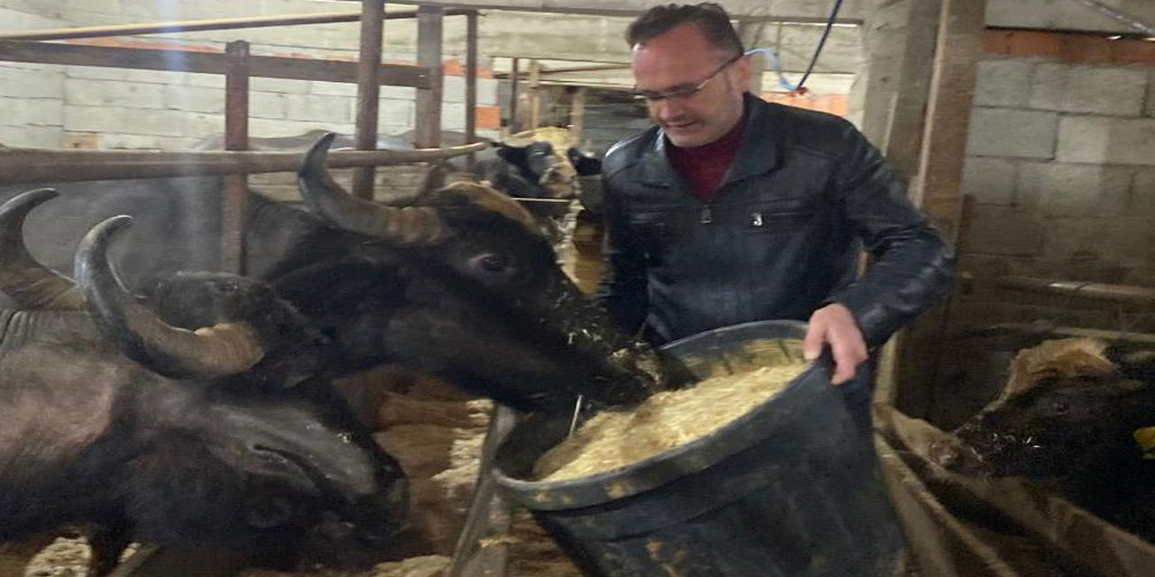 Giresun’da 286 manda işletmesine 12,3 milyon TL destek