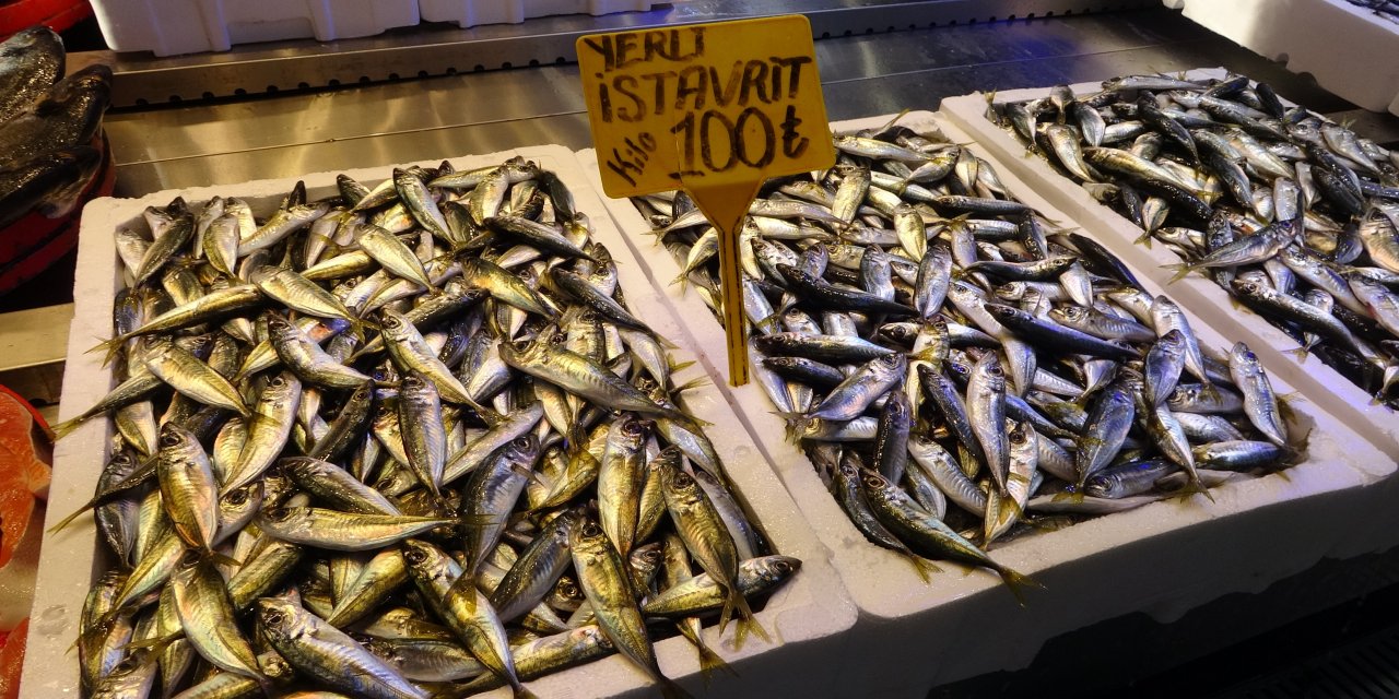 İstavrit hamsiyi tahtından etti