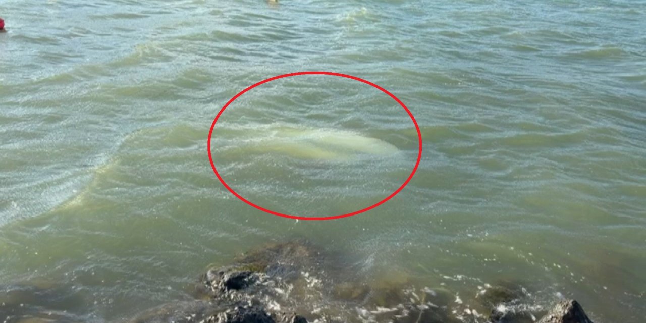 Karadeniz'de fırtına: Samsun'da 3 tekne battı