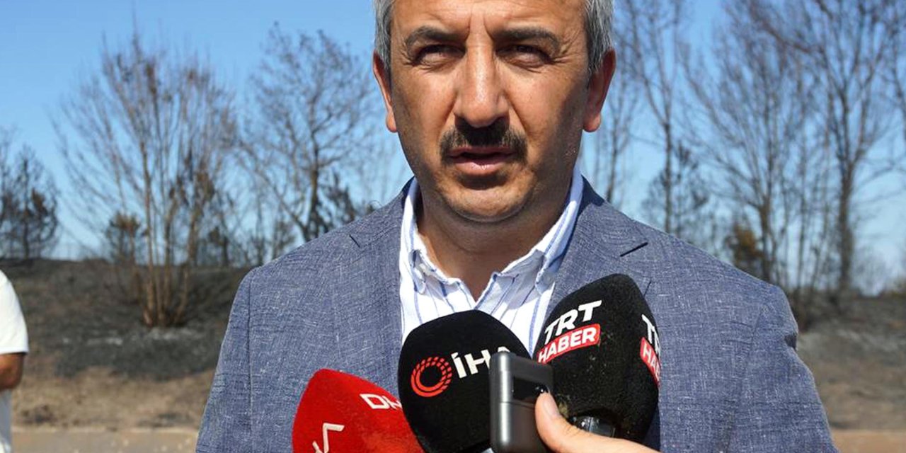 Anız Yangını Dumanının Kapladığı Tem'de Zircirleme Kaza: 1 Ölü, 36 Yaralı(2)