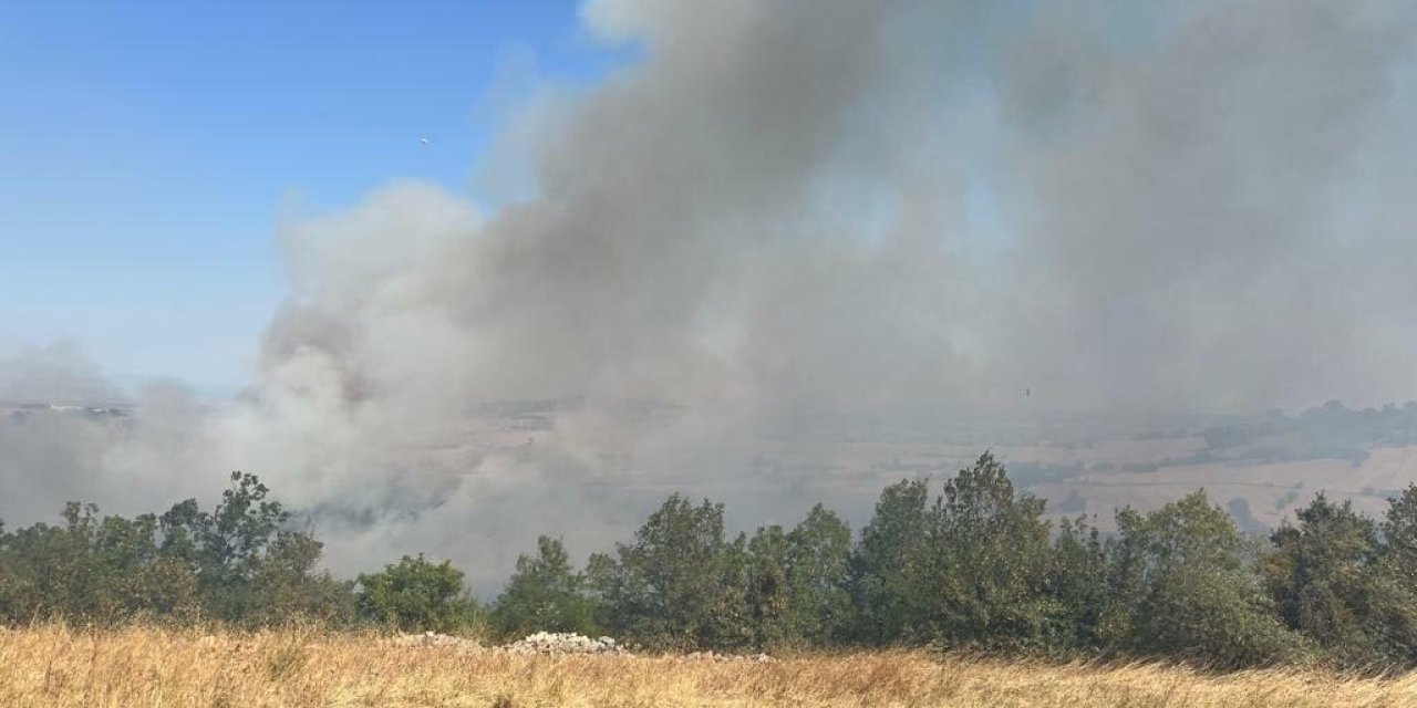 Balıkesir'de Tarım Arazisinde Yangın
