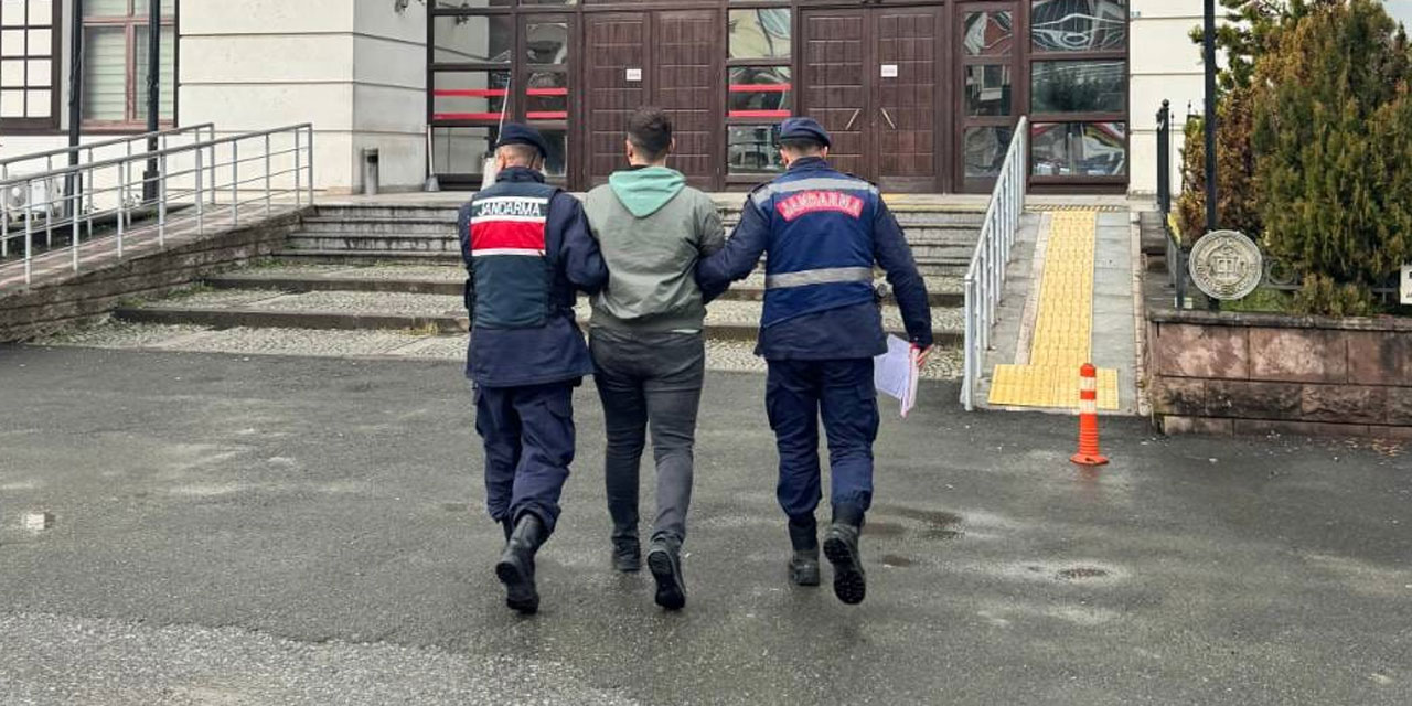 Rize'de bonzai ile yakalanan 1 kişi tutuklandı