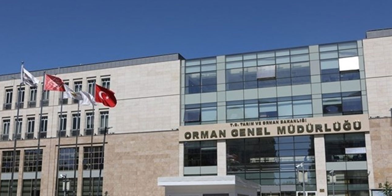 Rize’nin de Bağlı Olduğu Trabzon Orman Bölge Müdürlüğü Personel Alımı Yapacak