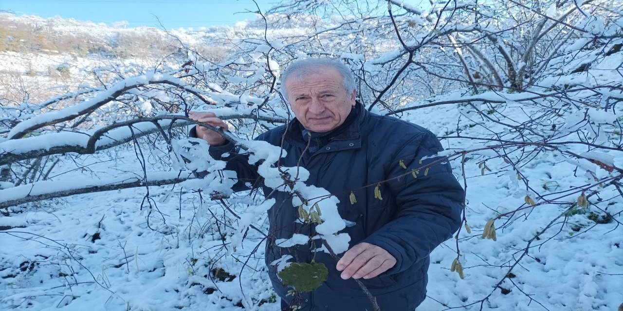 Mevsiminde yağan kar fındık üreticisini sevindirdi