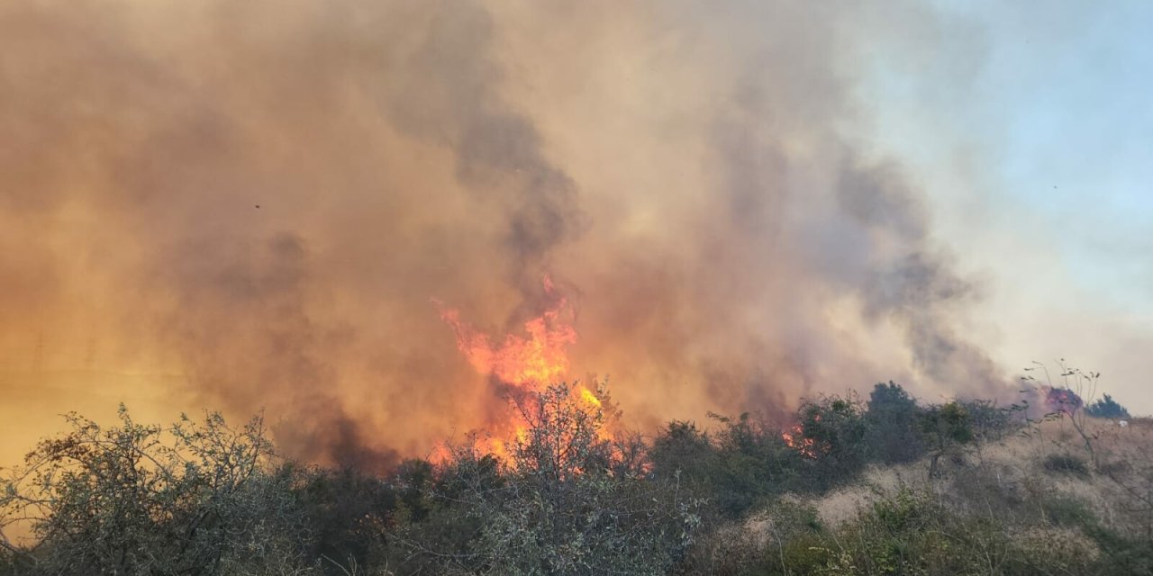 Çanakkale’de Maki Yangını