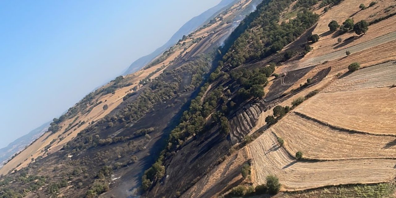 Balıkesir'de Tarım Arazisinde Yangın (2)