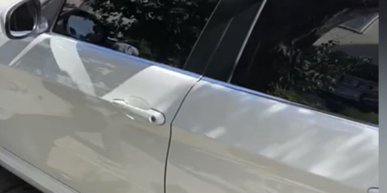 Kartal'da Akasya Ağacı Otomobilin Üzerine Devrildi