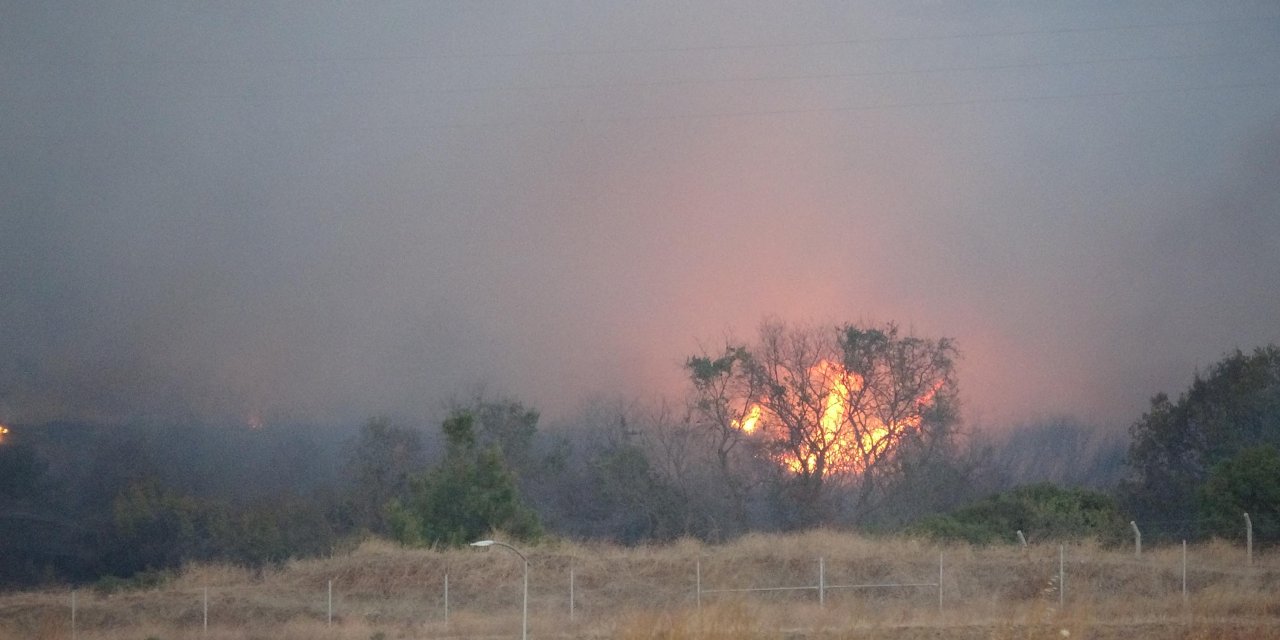 Çanakkale’de Maki Yangını Ormana Sıçradı (2)