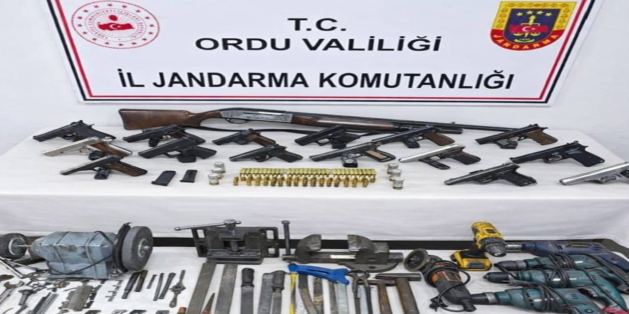 Ordu'da yasadışı silah operasyonu