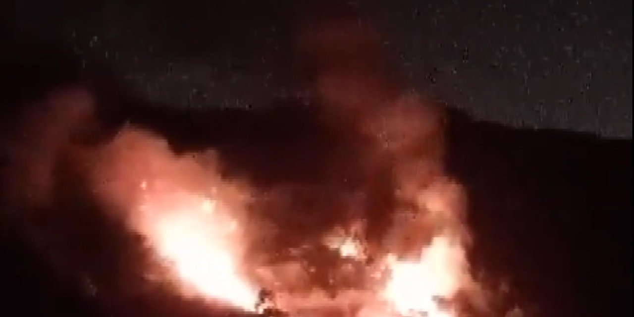 Pendik'te Orman Yangını-1