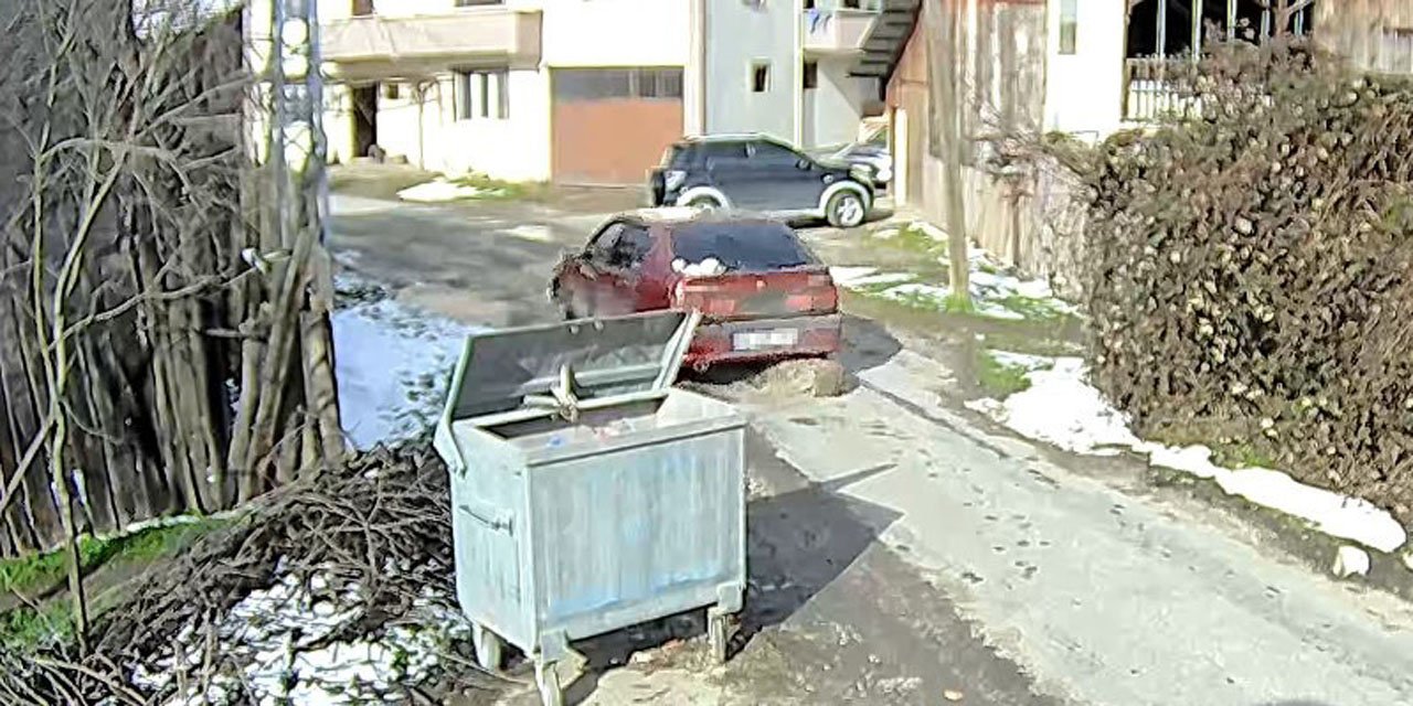 Bolu'da ezilen köpeğin röntgeninden 400 saçma çıktı: