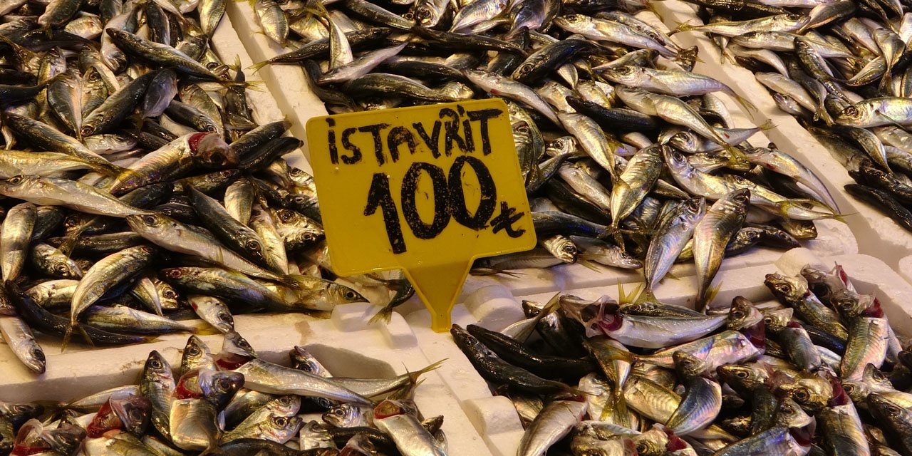 Denizdeki fırtına avını etkilese de balık fiyatlarını etkilemedi