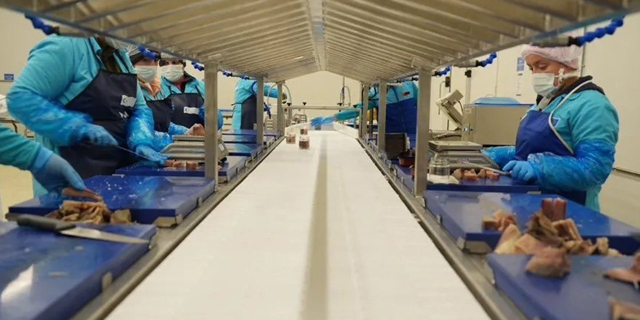 Sinop 2025’te ihracatta vites yükseltti