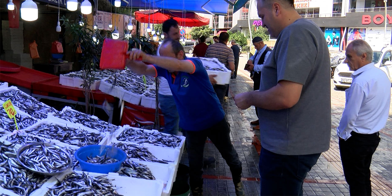 Rize'de Hamsi Bollaştı; Fiyatı 50 Tl'ye Düştü