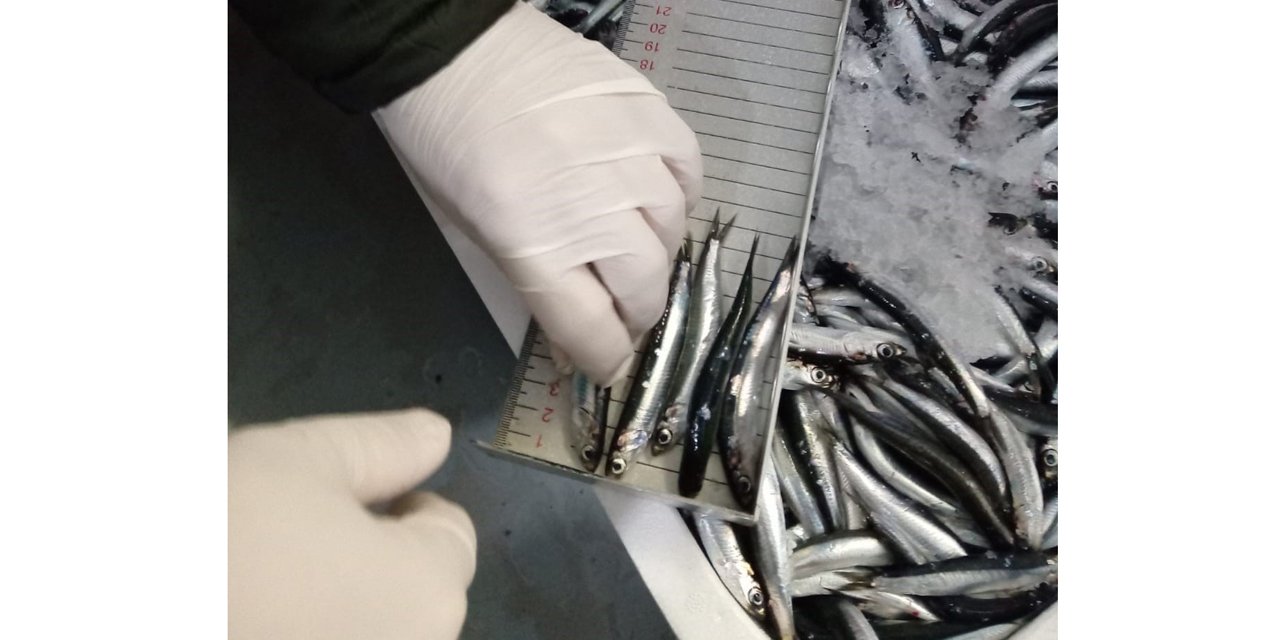 Trabzon'da 2025 yılında su ürünleri denetimlerinde 43 kişiye 3,2 milyon TL para cezası