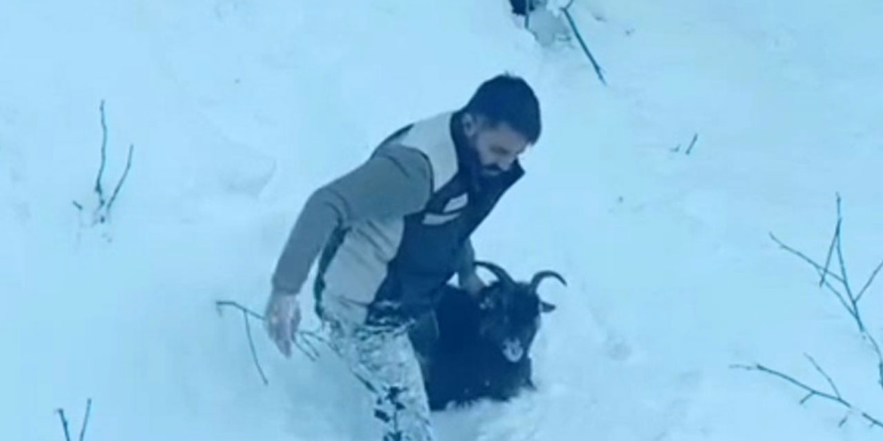İş makinesi operatörü karda kaybolan keçiyi sahiplerine ulaştırdı