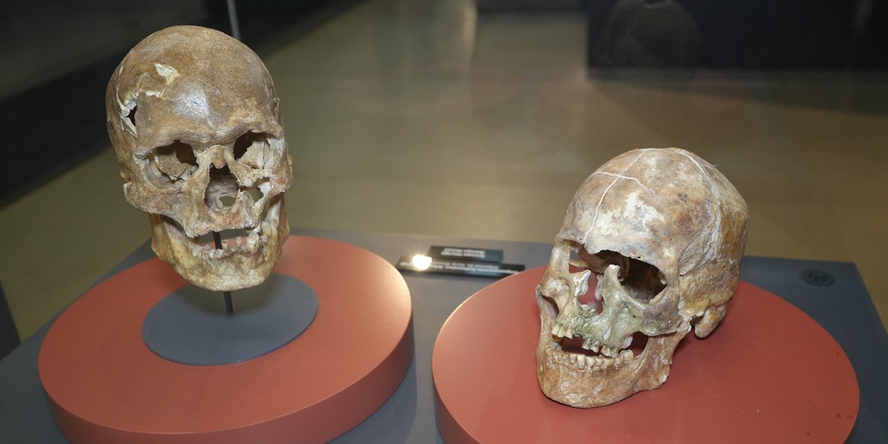 5 bin yıllık kafatası ve Amisos Hazineleri ilgi odağı oldu