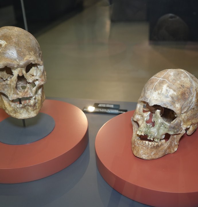 5 bin yıllık kafatası ve Amisos Hazineleri ilgi odağı oldu