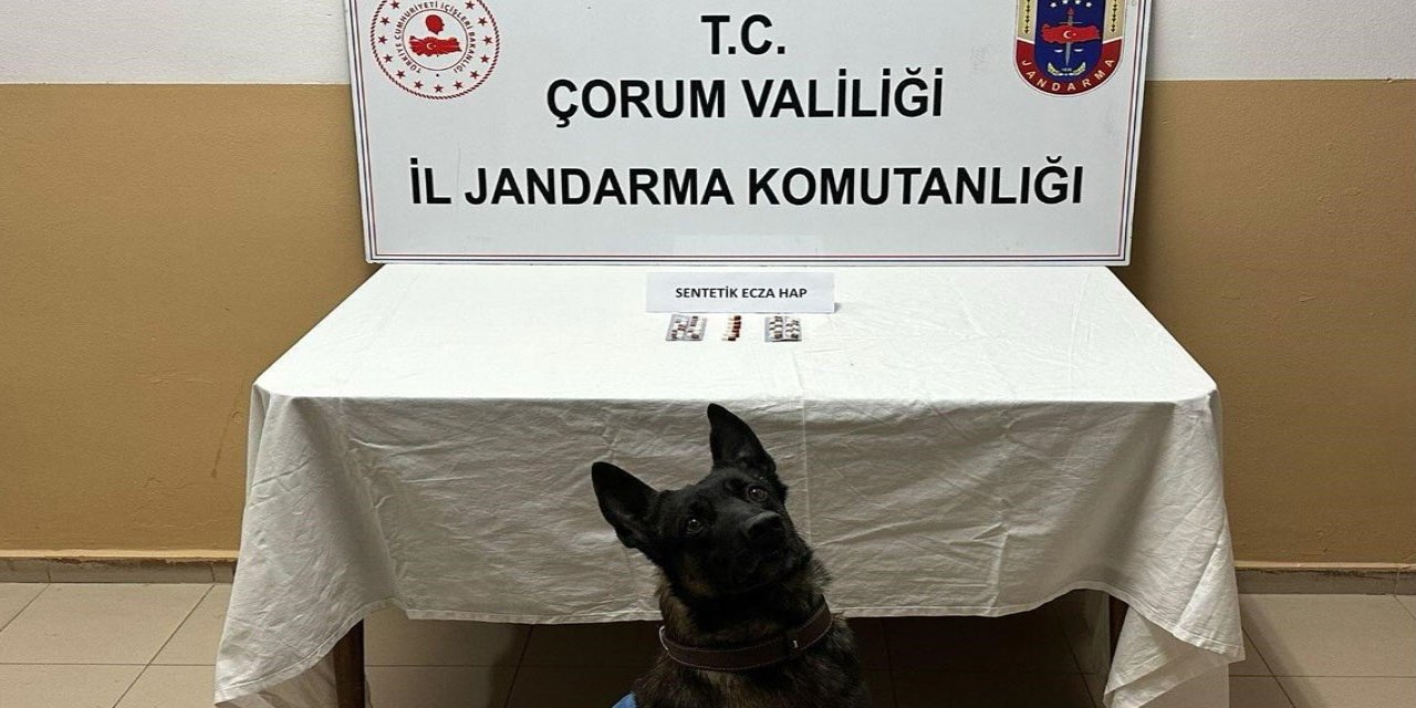Çorum'da uyuşturucu hapla yakalanan 3 kişi gözaltına alındı