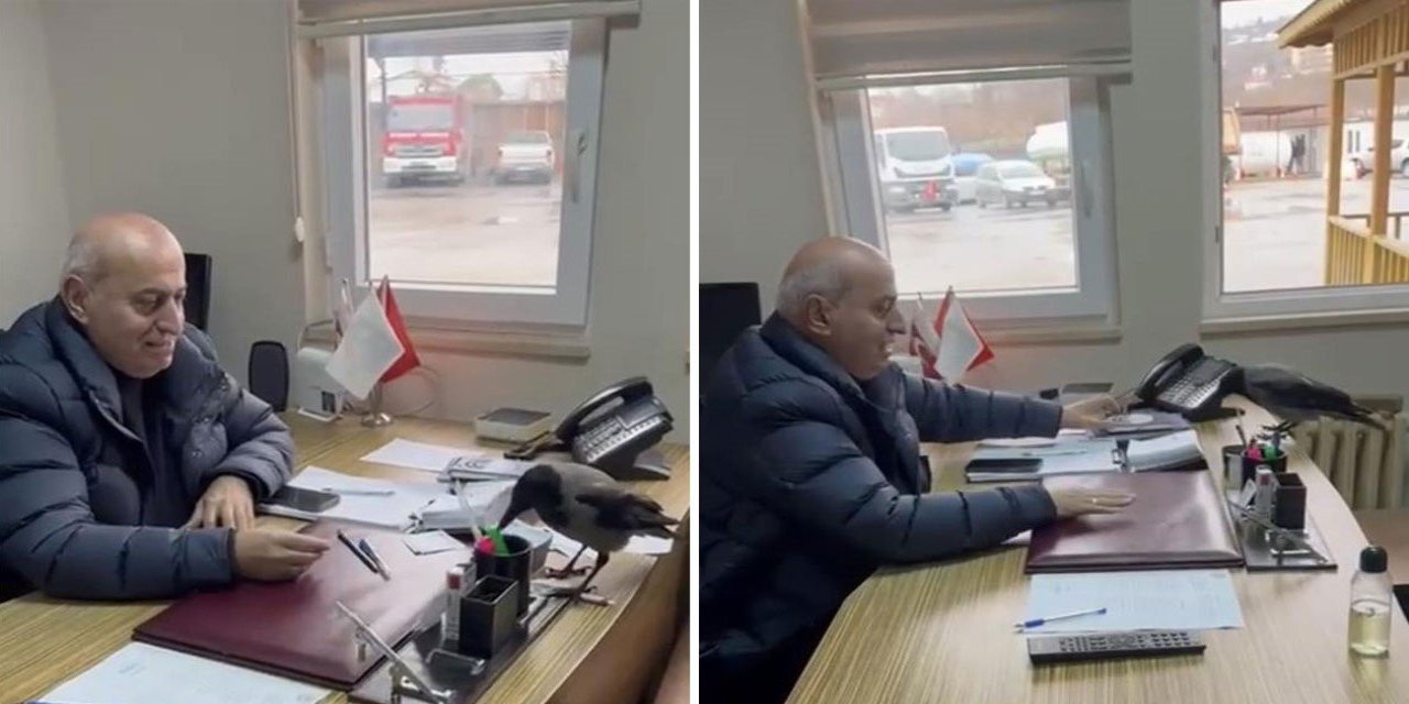 Trabzon'da belediye başkanının gülümseten karga diyaloğu