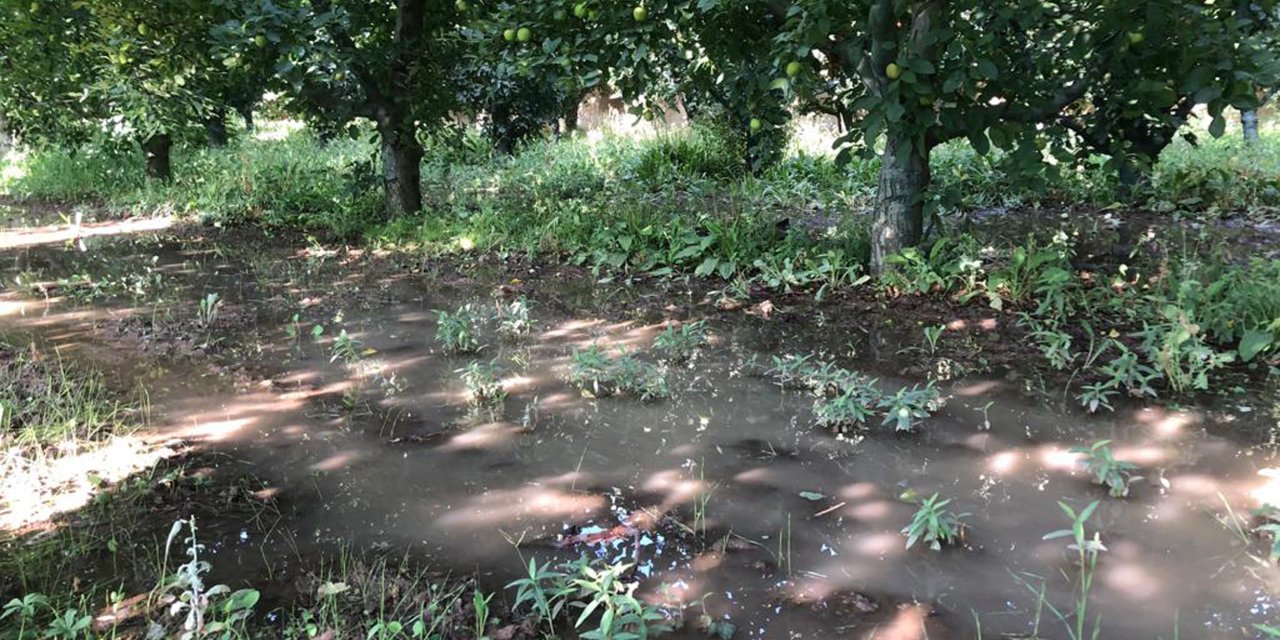 Kritik Seviye Altına İnen Gölden 'Vahşi Sulama' Devam Ediyor