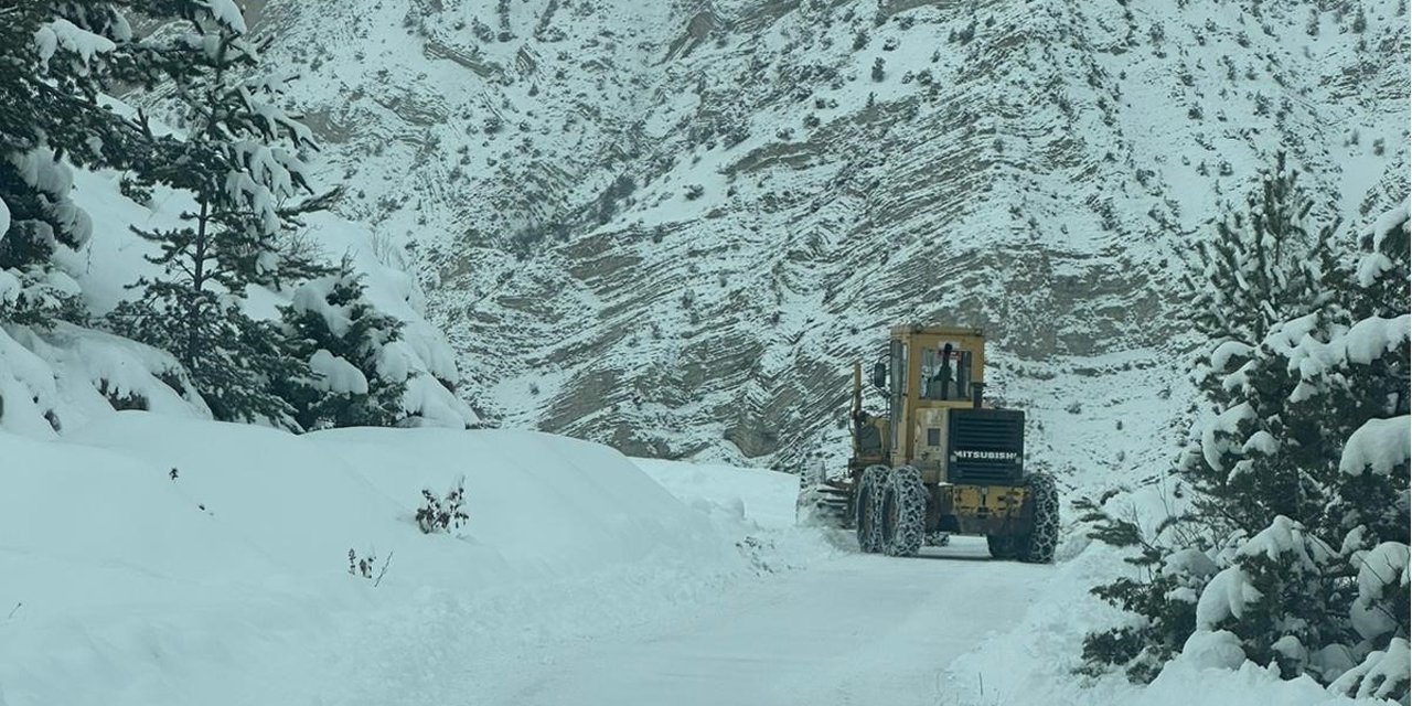 Artvin’de 6 ilçede 43 köy yolunda kar nedeniyle ulaşım sağlanamıyor