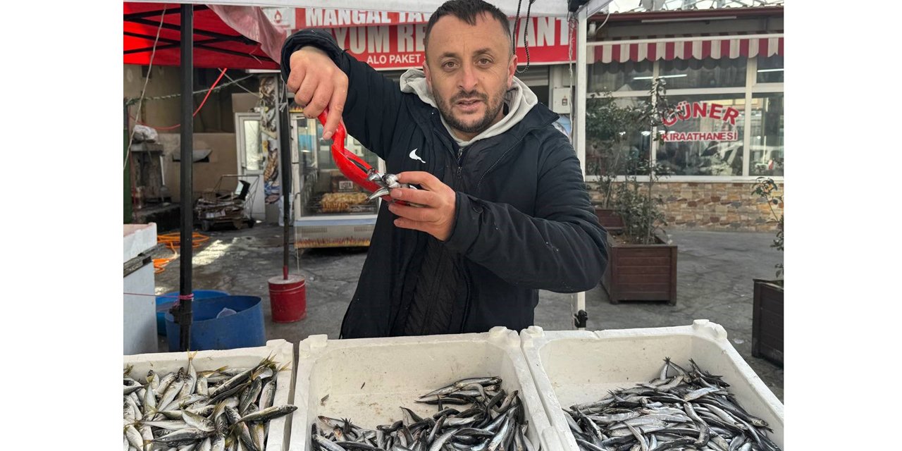 Zonguldak'ta tezgahlar istavritle şenlendi