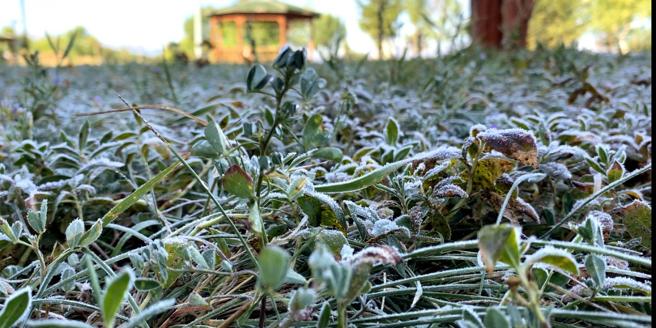 Ardahan’da Sıcaklık Eksiye Düştü; Bitkilerde Kırağı Oluştu, Otomobil Camları Buz Tuttu