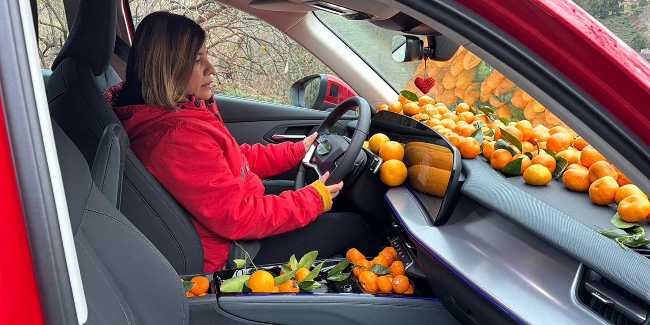 Artvin’de mandalina bereketi torpidoya taştı