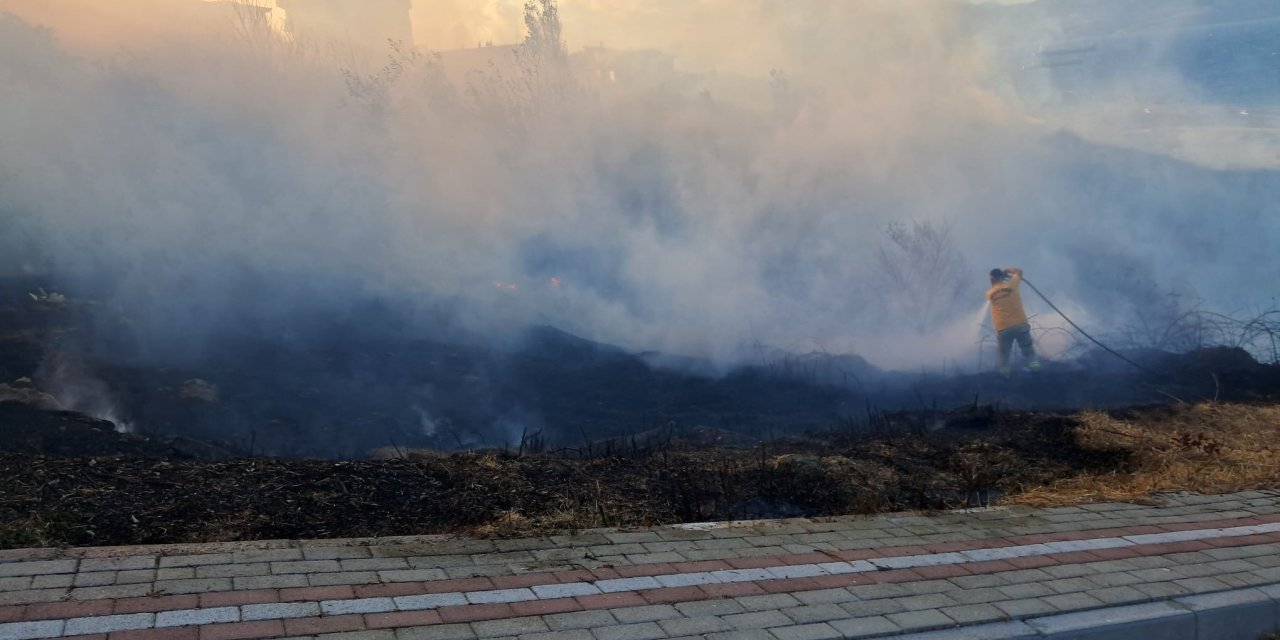 Bandırma'daki Otluk Yangınında 80 Dönüm Alan Zarar Gördü