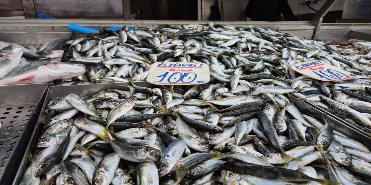Karadeniz'de hamsi yerini istavrite bıraktı