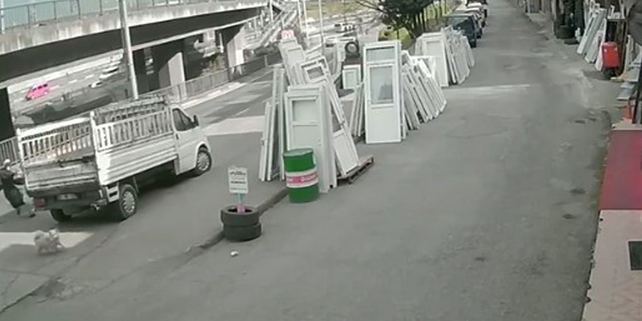 Köpekten kaçmaya çalışan üniversite öğrencisine belediye otobüsü çarptı