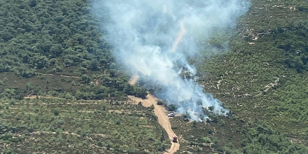 İzmir'de Orman Yangını