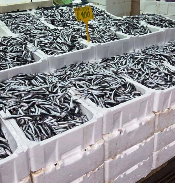 Karadeniz'de hamside Ramazan bereketi tezgahlara yansıdı