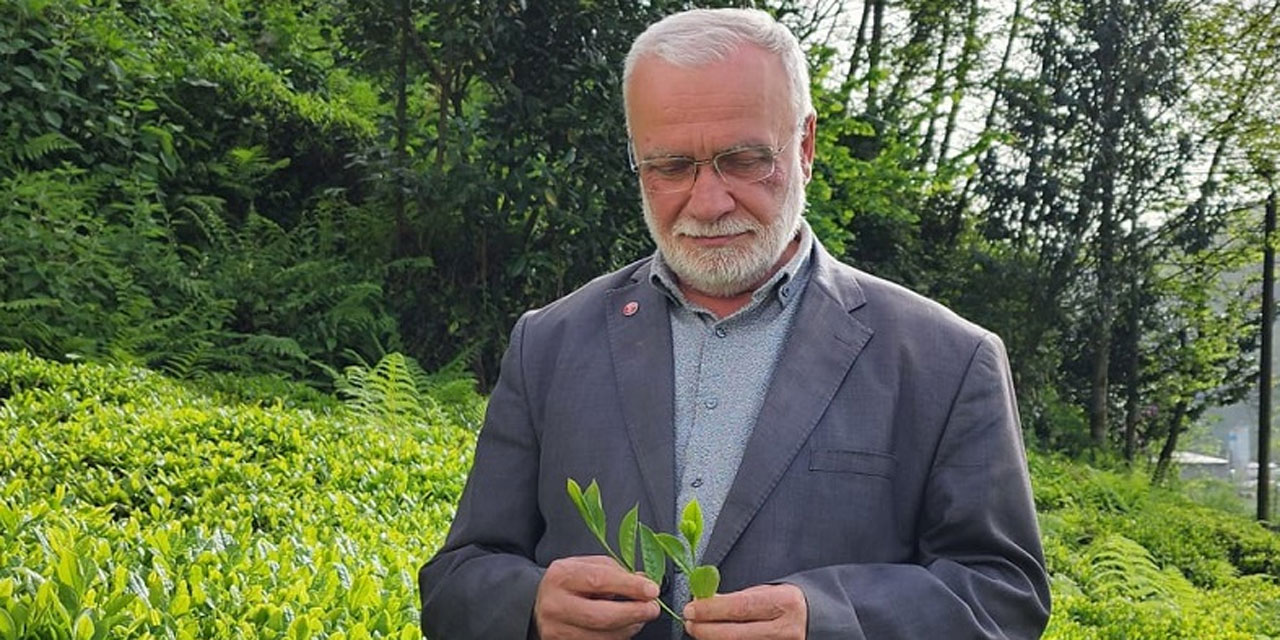 Saadet Partili Hasan Uzun’dan Çay Fiyatı çıkışı: 1 kilo Çay ile 3 Ekmek alınabilmeli