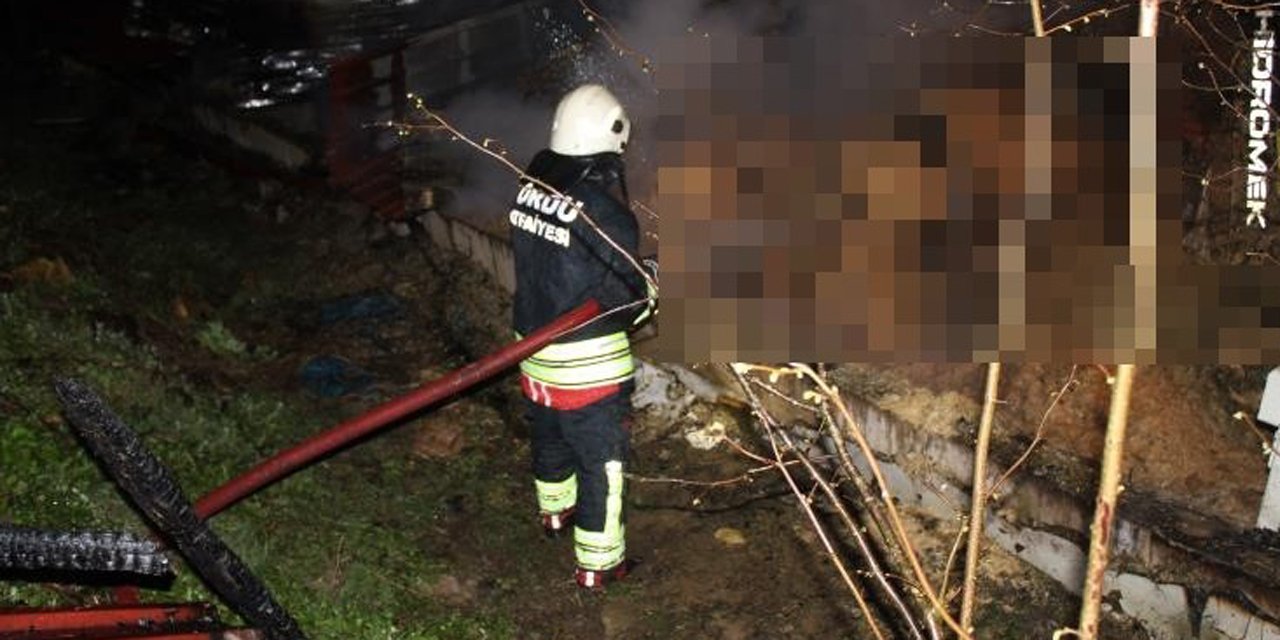 Ordu’da ahır yangını: 27 büyükbaş hayvan telef oldu