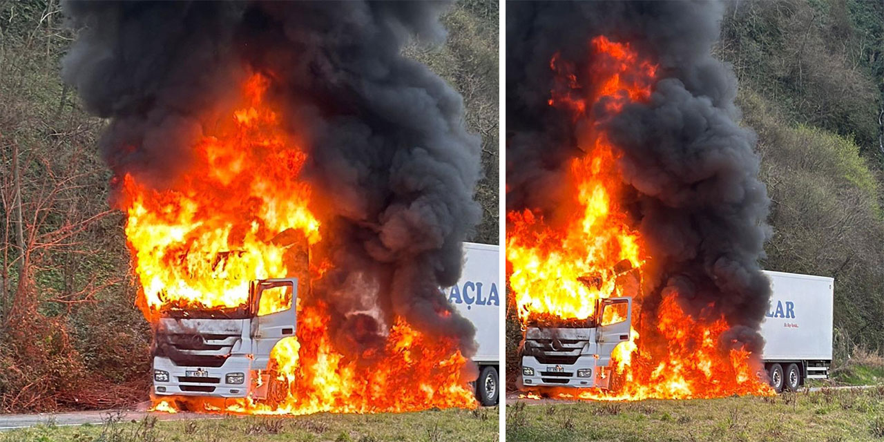 Rize'de arızalanan tır alev alev yandı
