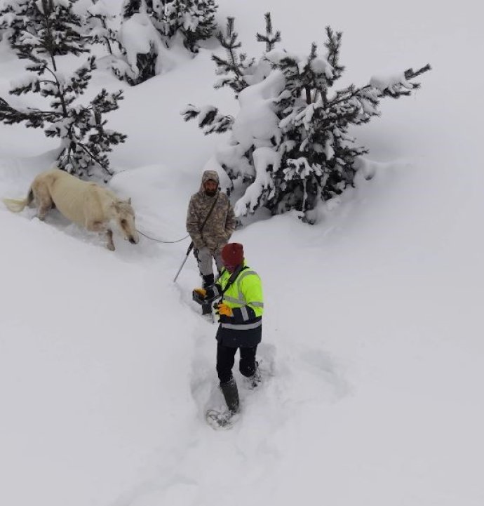 2 bin 100 rakımlı kışlada aylarca kar altında mahsur kalan atları köyün gençleri kurtardı