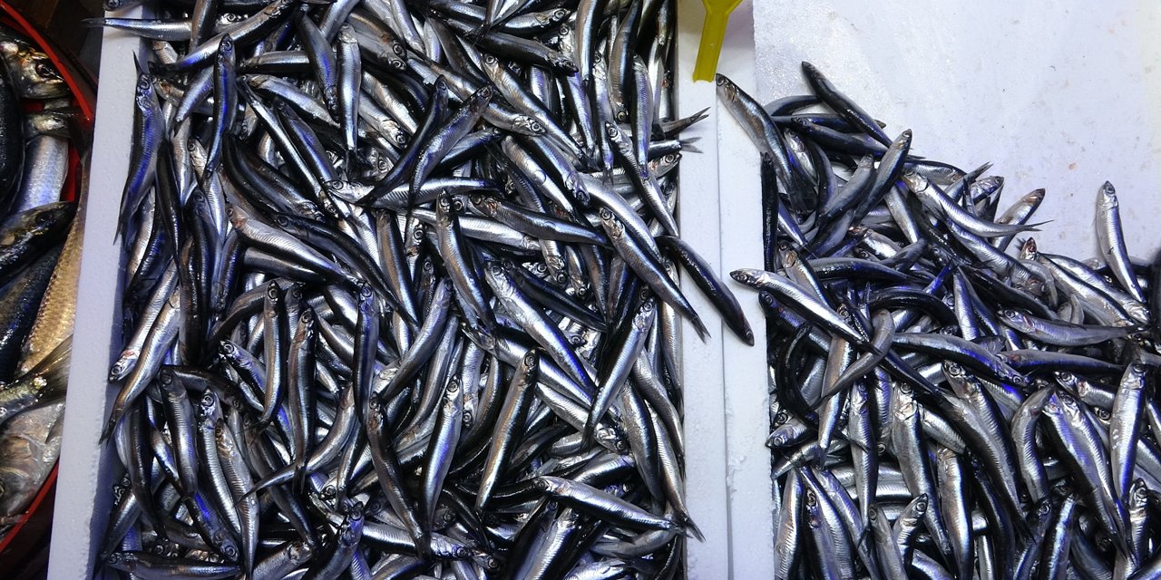 Savaş halindeki ülke ihracatta ilk sırayı aldı