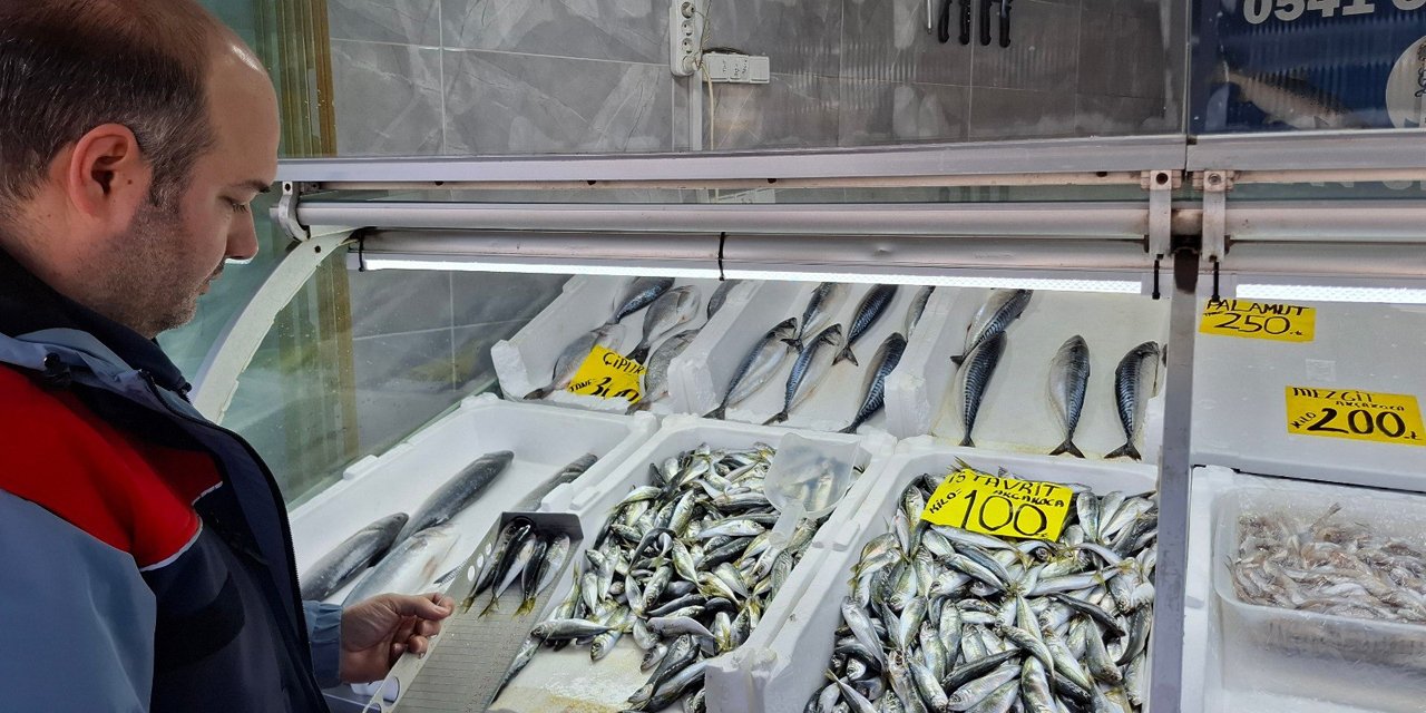 Yasak öncesi balık satış yerleri denetlendi