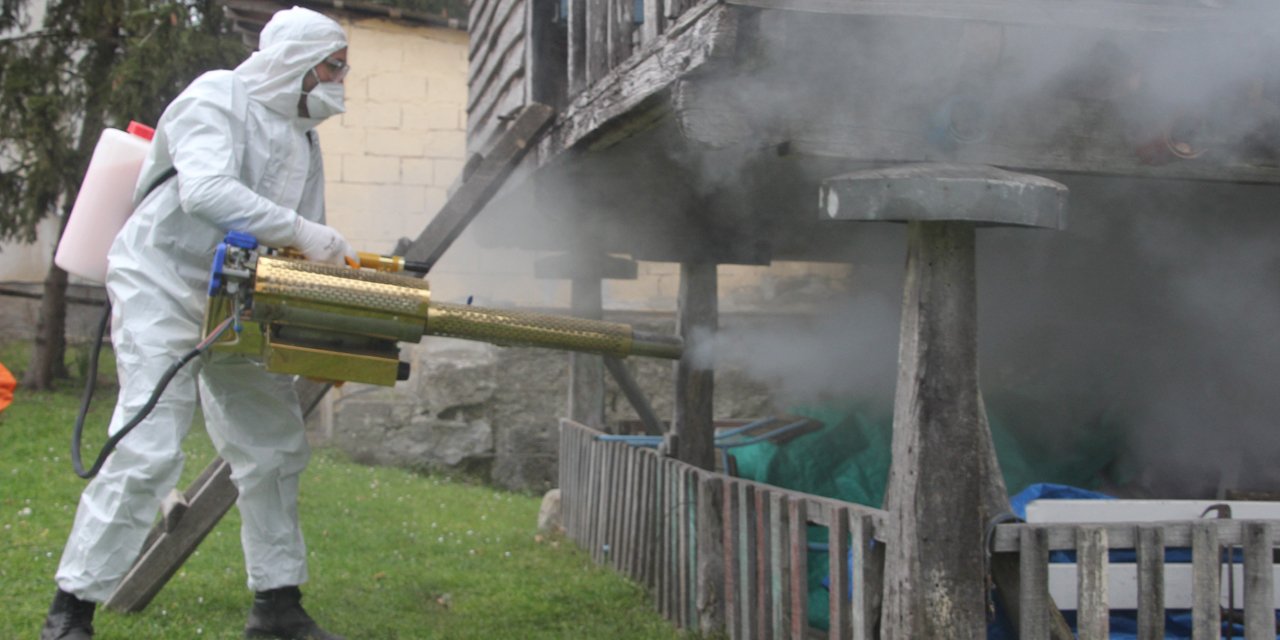Ordu'da kahverengi kokarca ile kışlak mücadelesi: 330 bin noktadan 190 bini ilaçlandı
