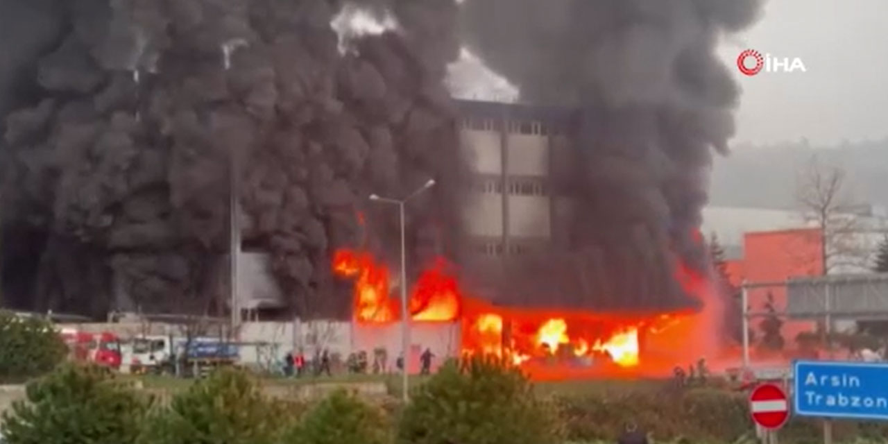 Trabzon'da fındık fabrikasında yangın