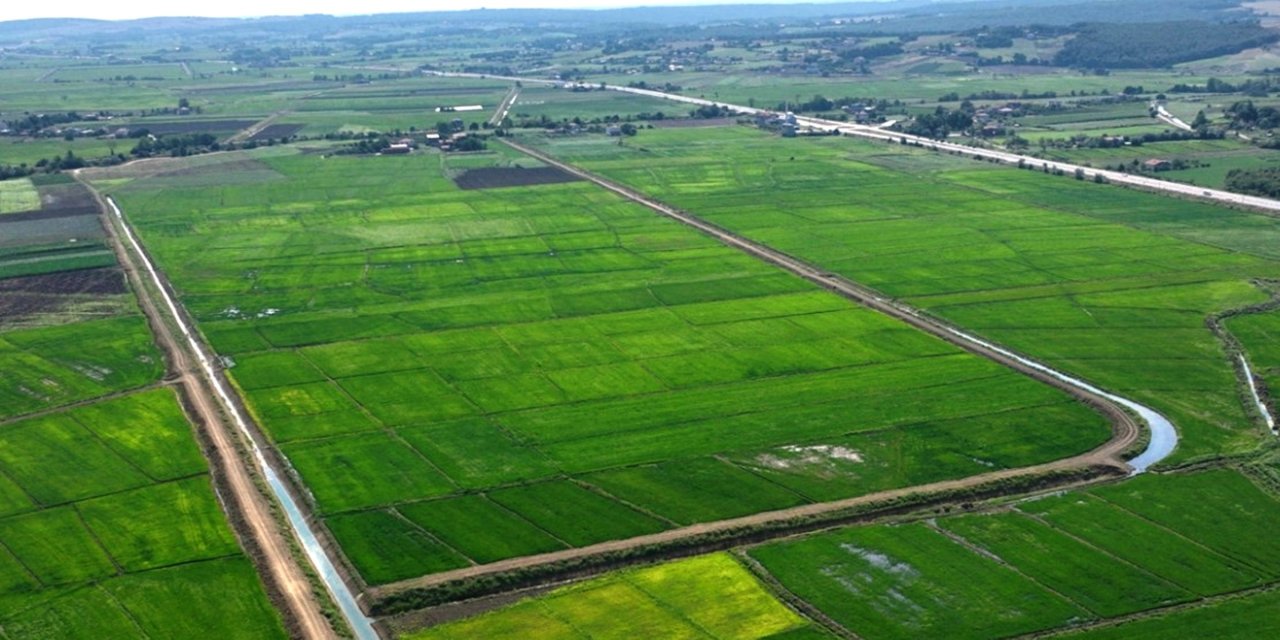 Samsun'da bozulan tarım arazileri cezasız kalmadı: 48 işlem uygulandı