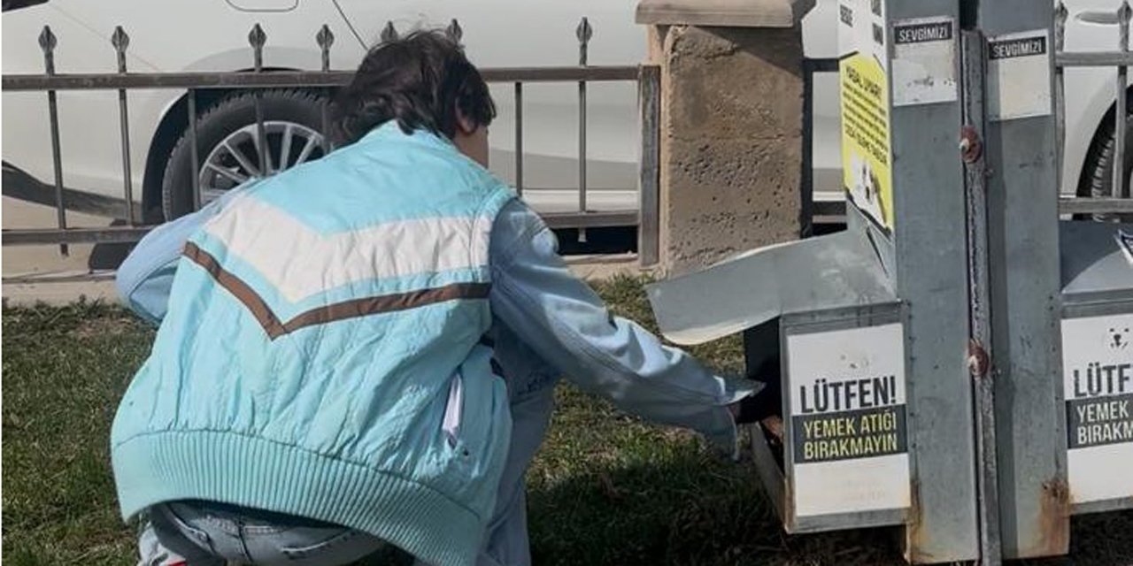 Özel öğrencilerden sokak hayvanlarına mama desteği