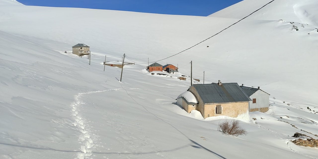 Bayburt'ta ayı saldırılarının yaşandığı yaylada ulaşım sorunu sürüyor