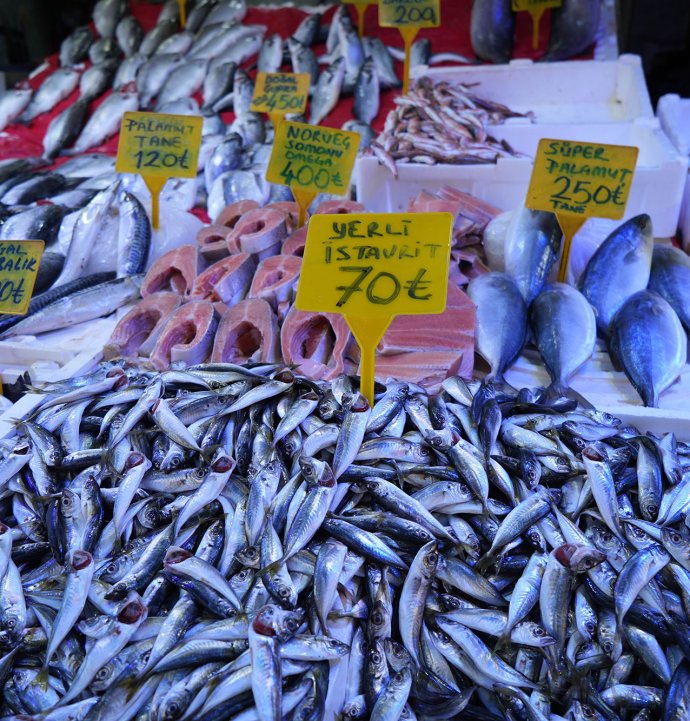 Sezonun sonuna gelinirken istavritin kilosu 70 TL'ye düştü