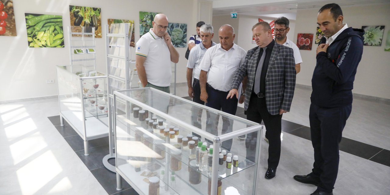 Türkiye, Azerbaycan'ın Ekonomik Bölgesine Rol Model