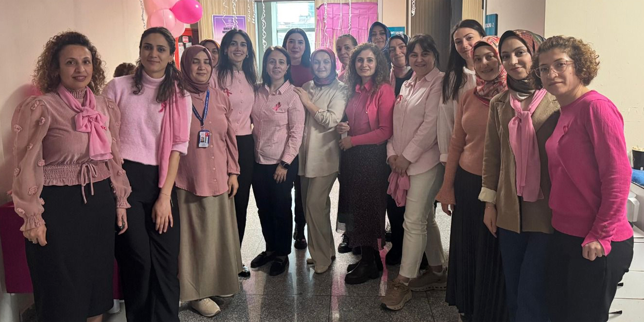 Rize'de Sağlık Çalışanlarına Meme Kanseri Eğitimi